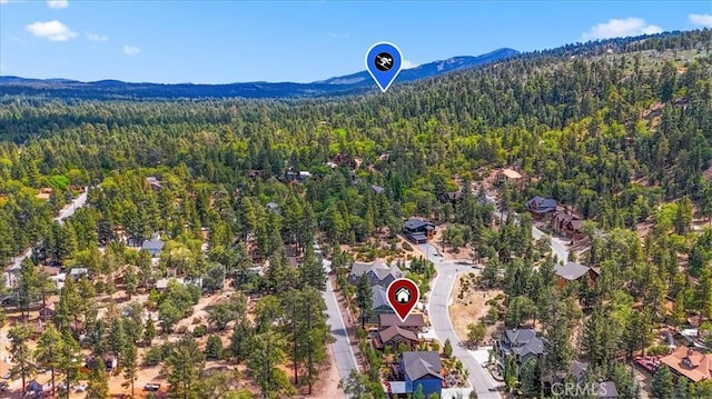 40944 Seneca Trl, Big Bear Lake, CA 92315 - photo 35