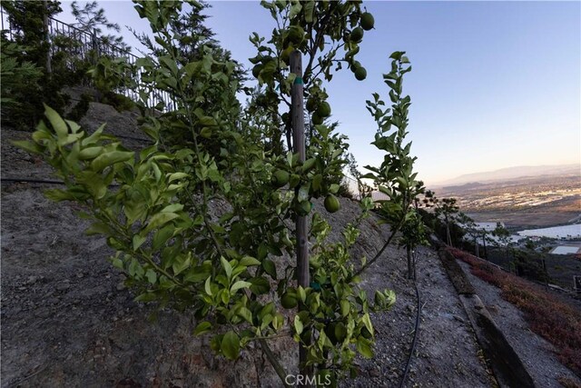 nature at dusk featuring a mountain view