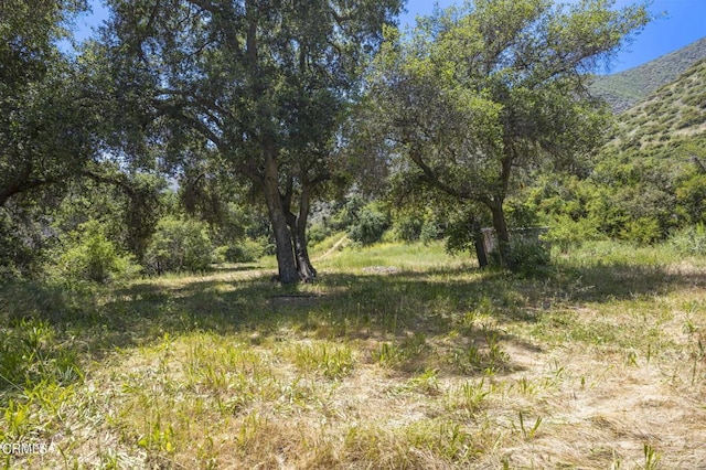 Listing photo 2 for 0 Maricopa Hwy, Ojai CA 93023