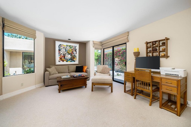 living room featuring light carpet