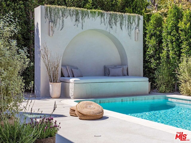 view of swimming pool with a patio