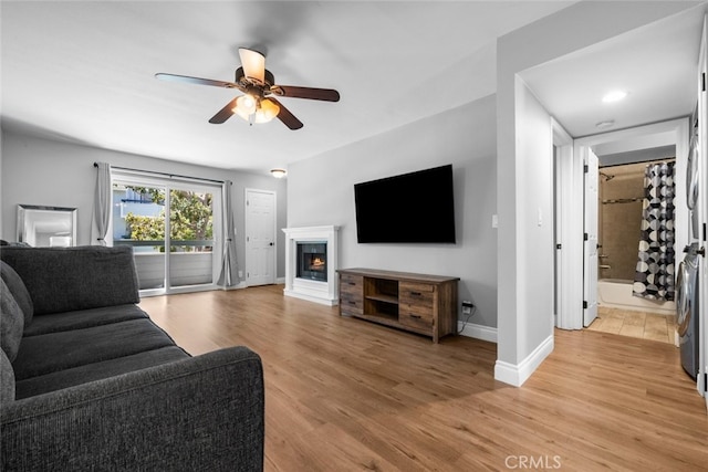 living room with ceiling fan and light hardwood / wood-style floors