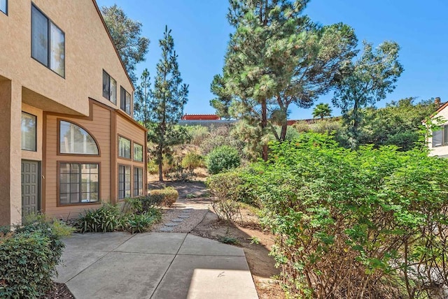 view of yard featuring a patio area