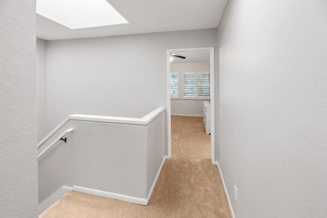 hallway with light carpet and a skylight