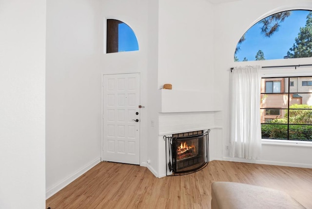 entryway featuring light hardwood / wood-style floors and a high ceiling