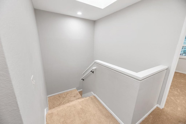 stairs featuring carpet floors and a skylight