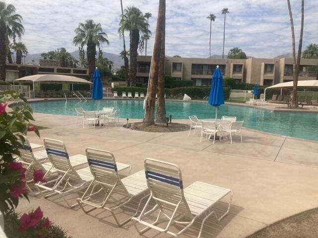 view of pool with a patio