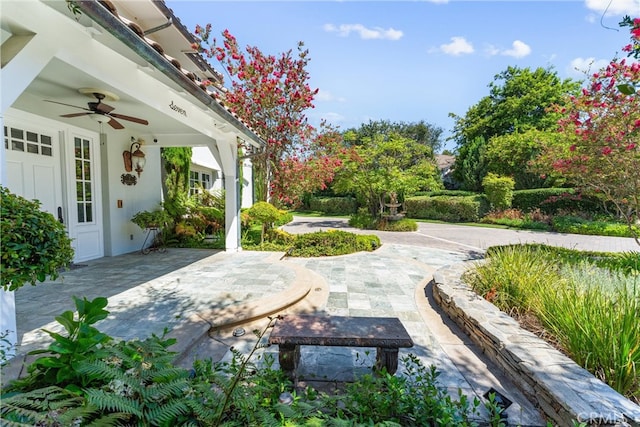 view of patio featuring ceiling fan