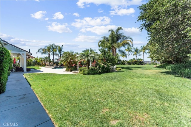 view of yard with a patio area