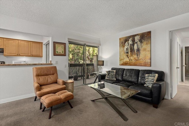 carpeted living room with a textured ceiling