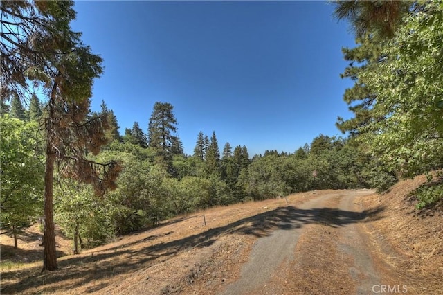 view of street with a forest view