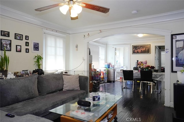 living room with ornamental molding, ceiling fan, and dark hardwood / wood-style flooring