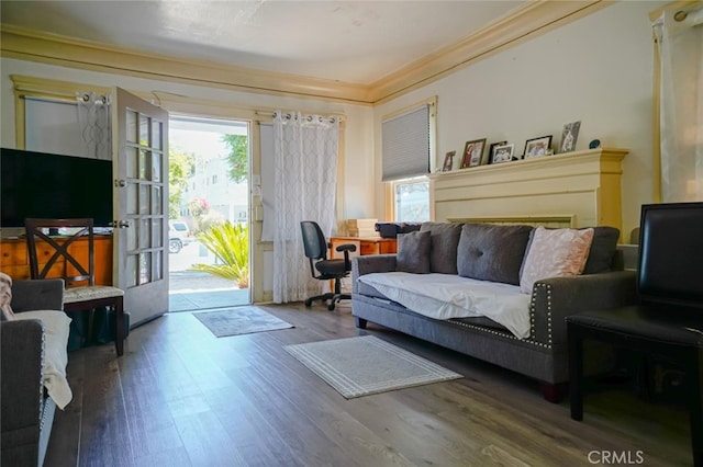 living room featuring crown molding and dark hardwood / wood-style flooring