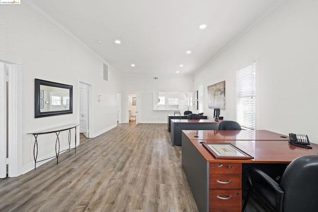 office featuring crown molding, a wealth of natural light, and wood-type flooring