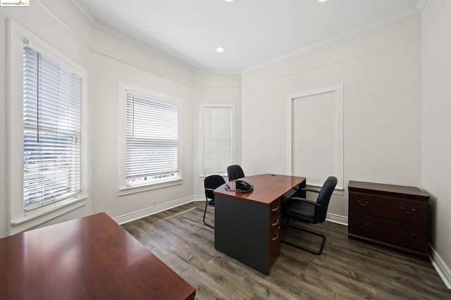 office space with crown molding and dark hardwood / wood-style flooring