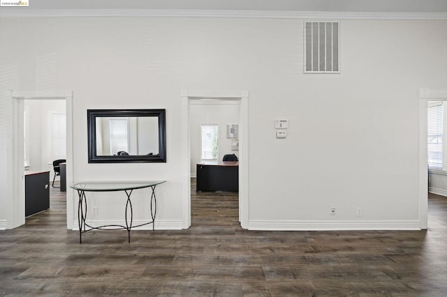 interior space featuring ornamental molding, plenty of natural light, and dark hardwood / wood-style floors