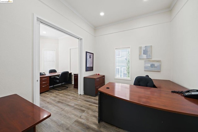 home office featuring crown molding and light hardwood / wood-style flooring