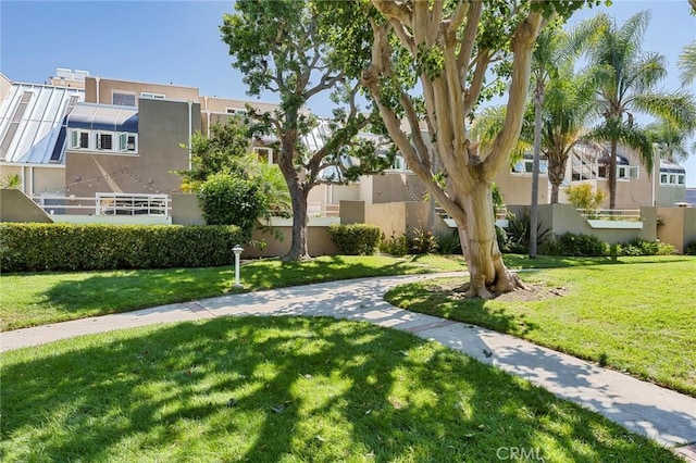 view of home's community with a lawn