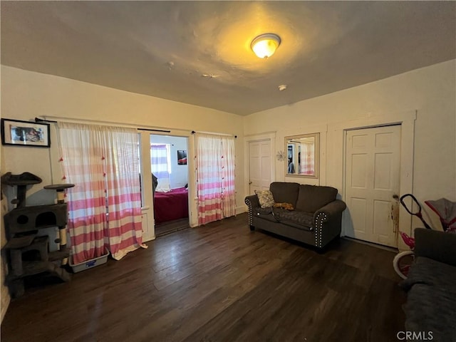 living room with dark hardwood / wood-style floors