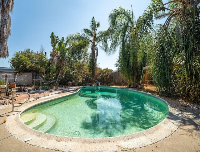 view of swimming pool with a patio