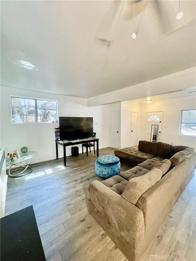 living room featuring plenty of natural light and light hardwood / wood-style floors