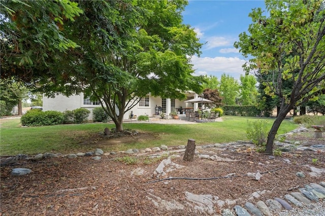 view of yard with a patio