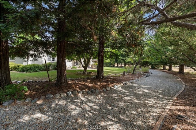 view of property's community featuring a lawn