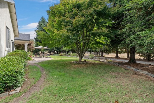 view of yard featuring a patio