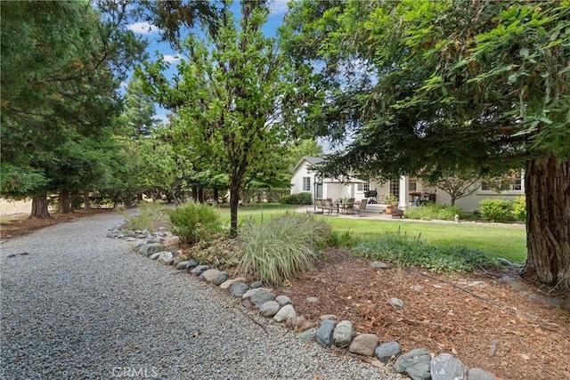 view of yard featuring a patio