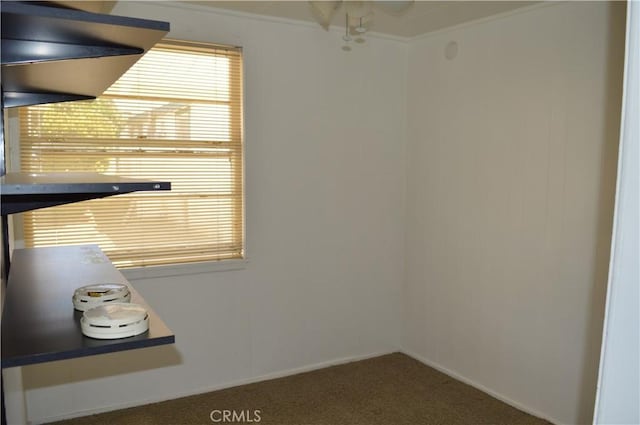 interior space featuring carpet flooring and crown molding