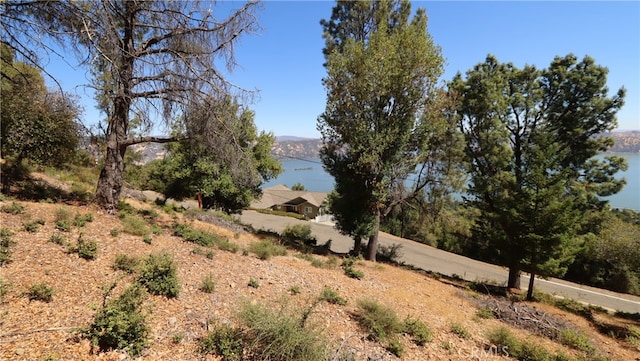 Listing photo 2 for 8151 Broadview Dr, Kelseyville CA 95451