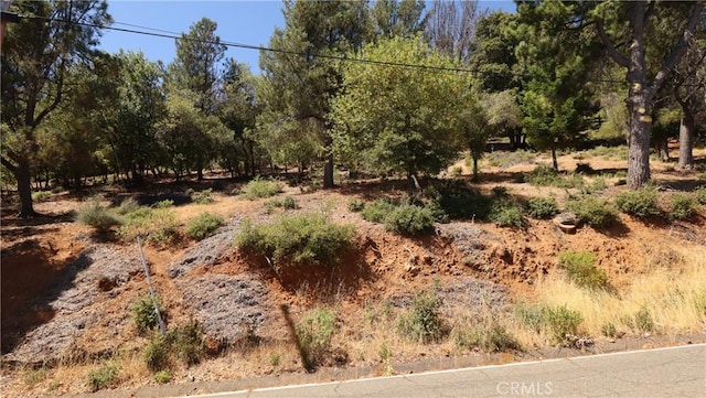 8157 Broadview Dr, Kelseyville, CA 95451 - photo 9