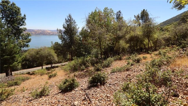 8157 Broadview Dr, Kelseyville, CA 95451 - photo 3