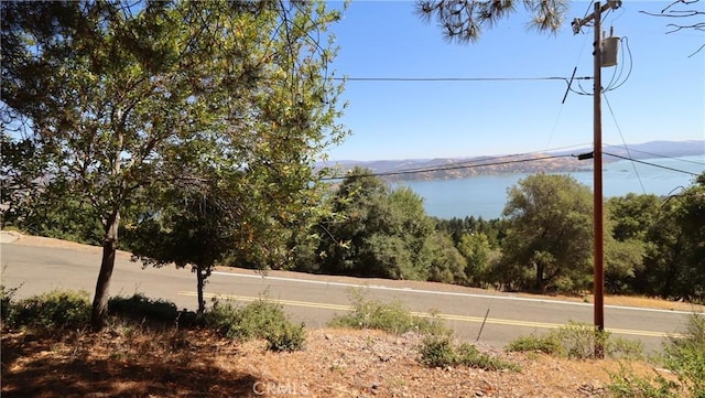 8157 Broadview Dr, Kelseyville, CA 95451 - photo 2