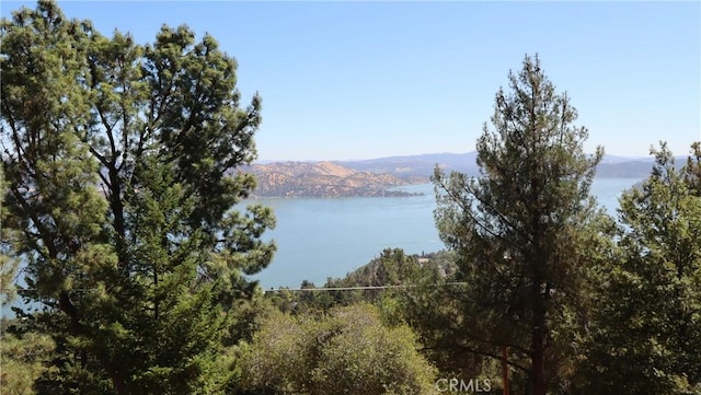 8157 Broadview Dr, Kelseyville, CA 95451 - photo 1