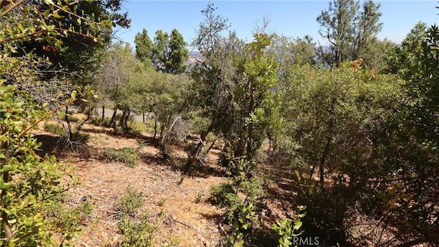 8157 Broadview Dr, Kelseyville, CA 95451 - photo 4