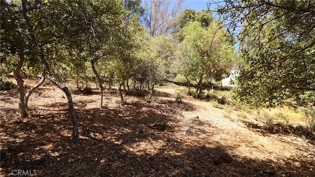 8157 Broadview Dr, Kelseyville, CA 95451 - photo 7