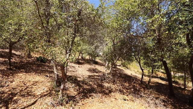 8157 Broadview Dr, Kelseyville, CA 95451 - photo 6