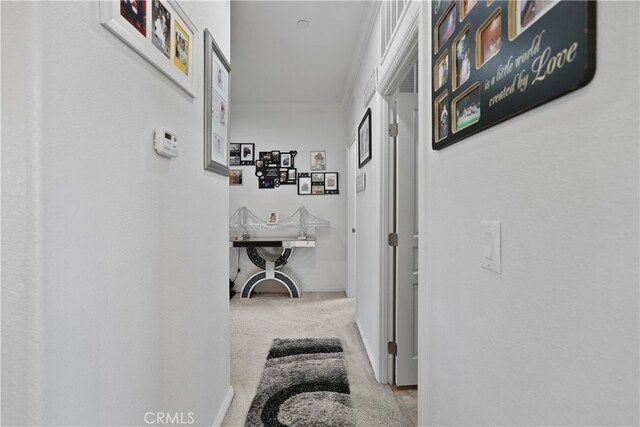 hall with crown molding and light colored carpet