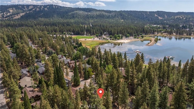 151 N Finch Dr, Big Bear Lake, CA 92315 - photo 3