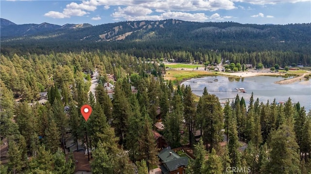 151 N Finch Dr, Big Bear Lake, CA 92315 - photo 32
