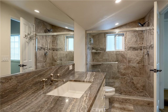 bathroom with plenty of natural light, toilet, and vaulted ceiling