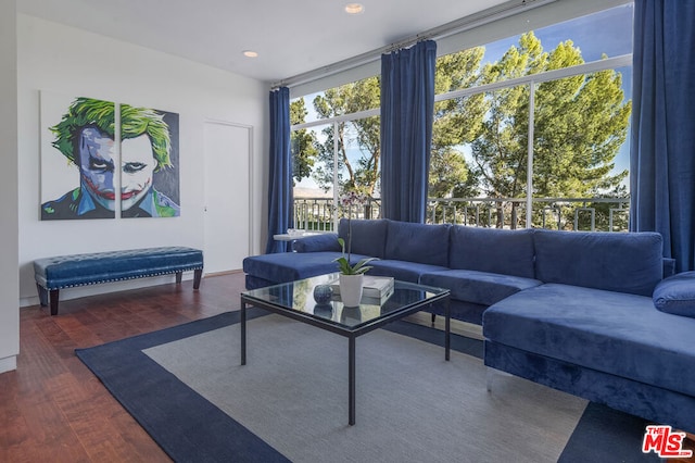 living room with dark hardwood / wood-style floors