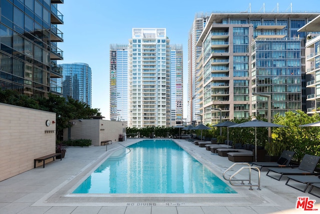 view of pool with a patio