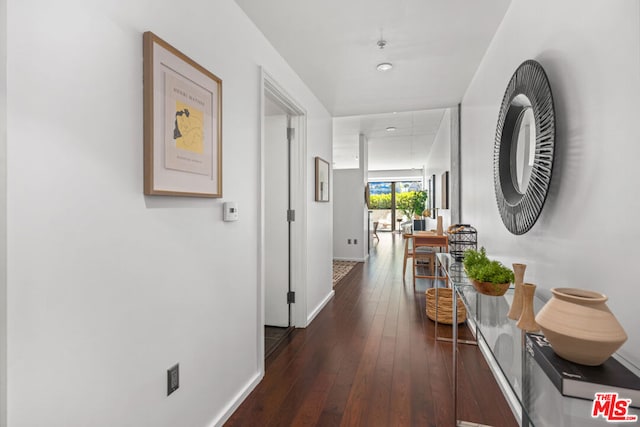 hallway featuring dark wood-type flooring