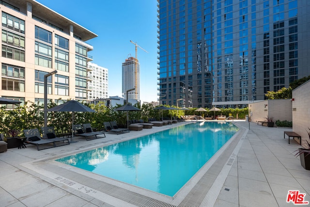 view of pool featuring a patio area