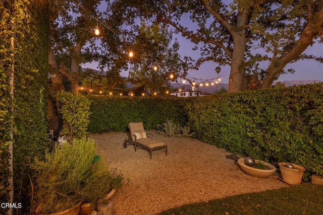 view of yard at dusk