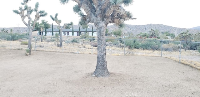 view of yard featuring a mountain view