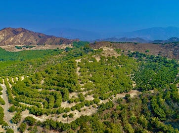 Listing photo 2 for 0 Foothill Rd, Santa Paula CA 93060