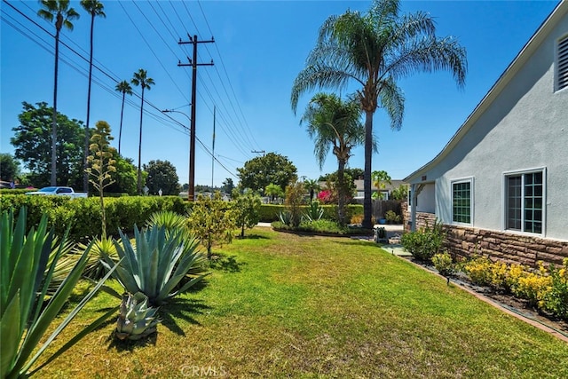 view of yard